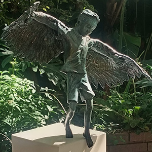 Fly